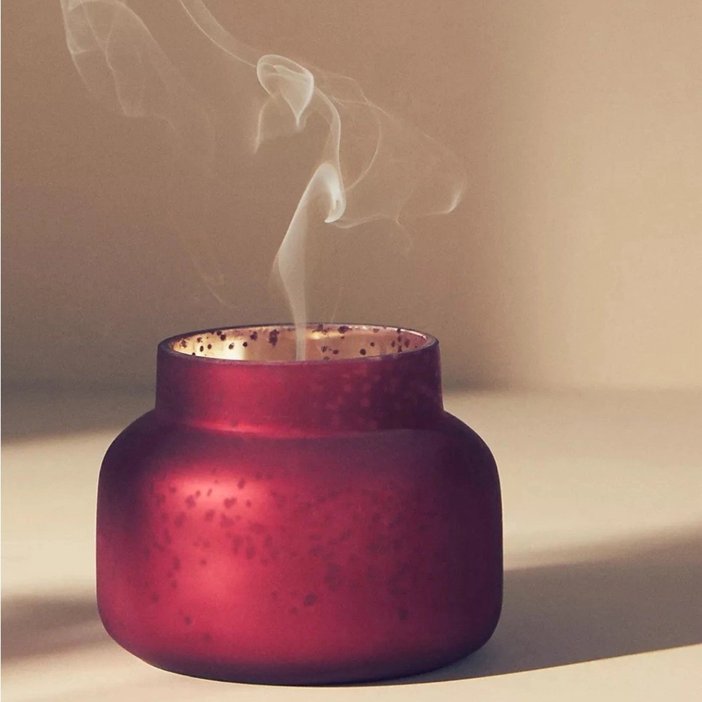 New Anthropologie Capri Blue Spiced Cider Candle 19 oz